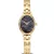 Bering Classic orologio da donna 11020-732, cinturino in acciaio inossidabile oro
