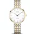 Bering Titanium orologio da donna 19334-010