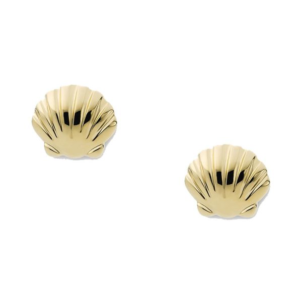 Fossil femmina orecchini JF04058710
