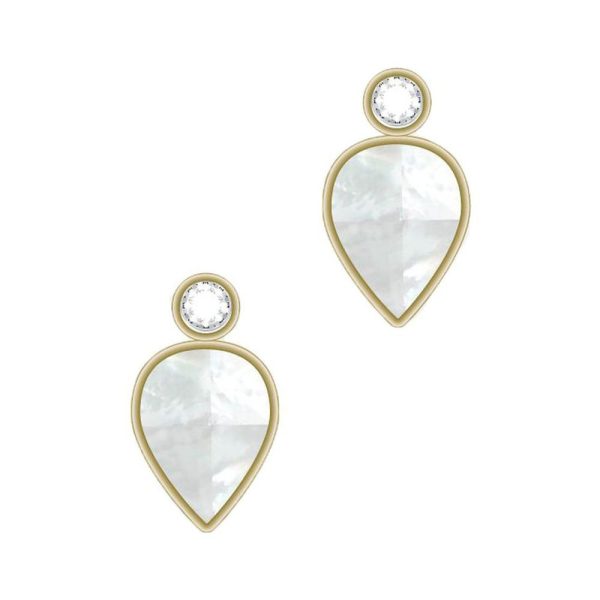 Fossil femmina orecchini JF04249710